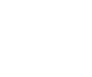 Ícone 13